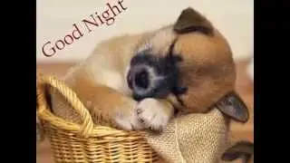 good night quotes