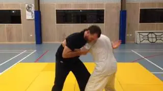 Tai Chi Chuan Push Hands -- Dragon Wrestling -- Cascade Throw