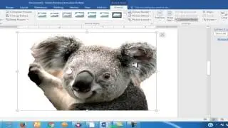 Ms word photo editing 2016