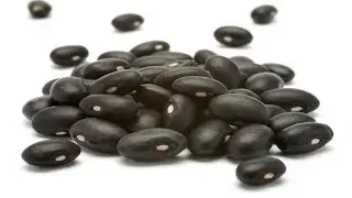 Black Bean Health Benefits - Nutritionist Karen Roth - San Diego