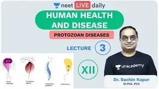 Human Health & Disease - L3 | Protozoan Disease | Unacademy NEET | LIVE DAILY | Biology | Sachin Sir