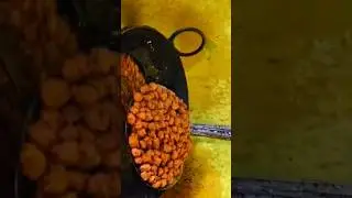 VEG MANCHURIAN RECIPE 👌|TAMMUDU FAST FOOD CENTRE #food #manchurya #fastfood #viral #streetfood