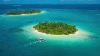 Landing in Paradise