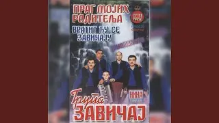 Vraticu se zavicaju