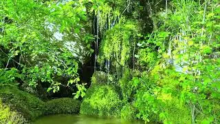 ASMR  ruscello  acqua che scorre video relax