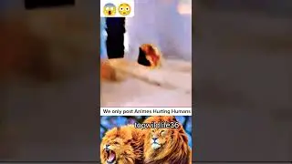 #anime #animeedit #onepunchman #music #cyberpunk2077 #lion #1mlion #animals #wildanimals #wildlife