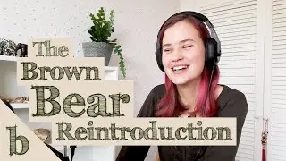 #8 The Brown Bear Reintroduction | The Biome Podcast