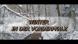 #ЗИМА В #ФОРДЕРПФАЛьЦЕ_#WINTER IN DER #VORDERPFALZ