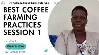BEST COFFEE FARMING PRACTICES  FOR MAXIMUM FARM INCOME SESSION 1: TUTORIAL: Florence Alimo: Living H