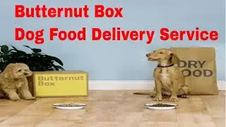 Dog Food Delivery Service London  Butternut Box Fresh Dog Food Delivery In London UK.