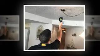 Mold Testing San Diego