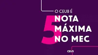 Brazil XL - Treinando IAs de imagens brasileiras.