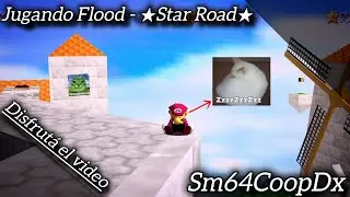 &iexcl;&iexcl;Jugando 'Flood' con el RomHack 
