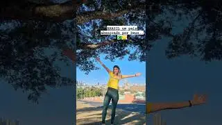 Queremos viver num pa&iacute;s livre de corrup&ccedil;&atilde;o. #foramoraes #foralula