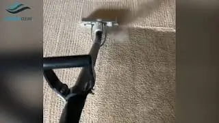 #1 Most Trusted Carpet Cleaning Services | Premium Clean
