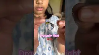 Dragonfly Fight 🙈😳 #trending #viral #travel #youtubeshorts #tourism #shorts #dragonfly #nature