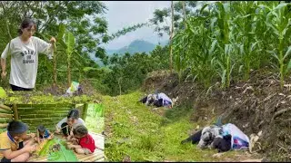 Single mother and daughter survive in the forest &ndash; Fishing, grilling fresh fish by the fire🌿🔥