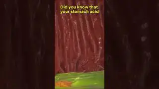 😲 Your Stomach Acid Can Dissolve Metal! #Shorts