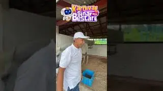 Rasai pengalaman menunggang kuda di Dataran Karangkraf Seksyen 15, Shah Alam.