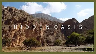 A day hike to Jebel Jais Hidden Oasis