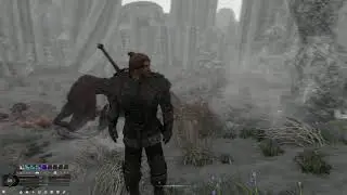 Modded Skyrim: Aggressive Combat Showcase. DAC0DA