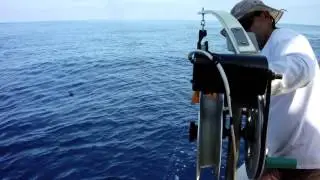 PIER 2013 Swordfish Deep-set Buoy gear trials
