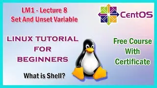How To Set And Unset Variable in Linux