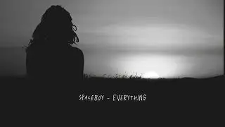spaceboy - everything