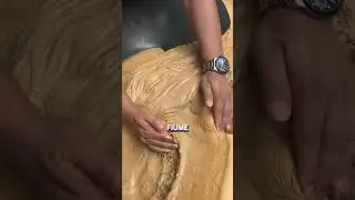 Come si trova l&rsquo;oro nei fiumi? Guarda che sorpresa!