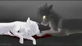 Warrior Cats~ Schneepelz traurige Geschichte