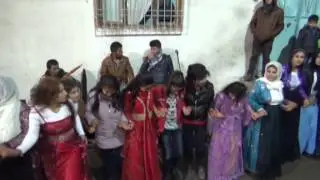 ŞAHİN KAMERA & KOMA GULA ÇİYA ÇIKSORUTTA