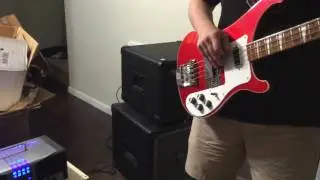 Mesa Boogie Buster 2x10 cab