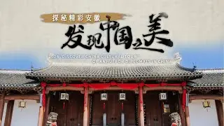 Diplomats introduced to culture and technology of Anhui