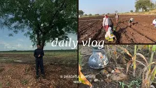 A farm tour | Village life