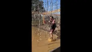 Electroshock Therapy