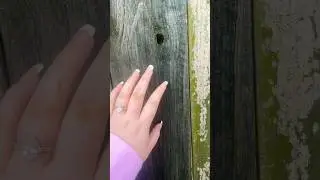 ASMR &bull; wood triggers 🪵 (tapping, scratching) outside #outsideasmr #wood #scratching #asmr #tapping