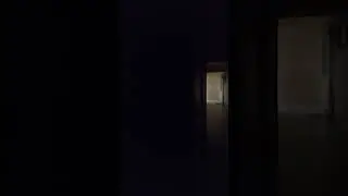 LOUD NEIGHBORS AT NIGHT WITH THE DISTURBANCE AGAIN. If you have this kind, just buy headphones 😅