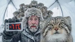 У меня дома -71&deg;C... А эти 