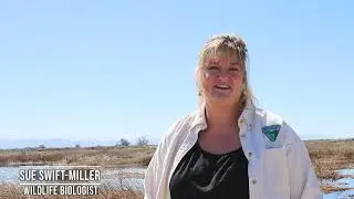 BLM Colorado is hiring!