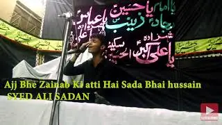 Aaj Bhi Zainab Ki Aati Hai | Syed Ali Sadan | Ali Basti