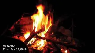BCUSA Bushclass (I) - Star Fire Lay