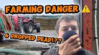 FARMING DANGERS - CATTLE CASUALTIES-  SLURRY #farming #farmingsafety #scotland 