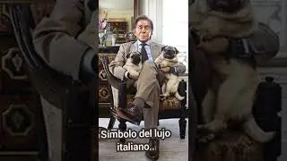 ADIOS AL DISE&Ntilde;ADOR VALENTINO🇮🇹#parati #moda#roma#italia