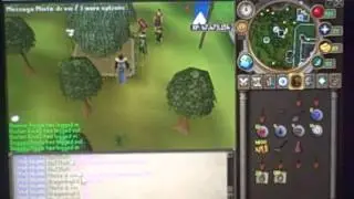 Runescape Tree Run Farming Guide
