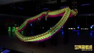 新加坡玄威龙狮学院 Singapore Xuan Wei Dragon & Lion Dance Troupe