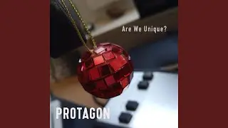 Are We Unique?