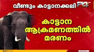 കാട്ടാനയെ കണ്ട് ഭയന്നോടുമ്പോൾ തുമ്പികൈ കൊണ്ട് അടിച്ച് വീഴ്ത്തി ചവിട്ടി; യുവാവ് കൊല്ലപ്പെട്ടു