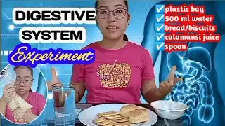 DIGESTIVE SYSTEM EXPERIMENT | SCIENCE 6 | PLASTIC BAG WATER BREAD CALAMANSI JUICE | JED AND LESLEY