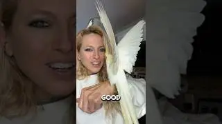 Смотрите, как Ноки будит Никса 🥹🥹🥰