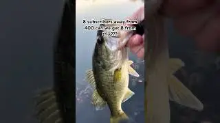 Can we do it??? #fishing #fish #bassfishing #bass #basspumping #bassfeatured